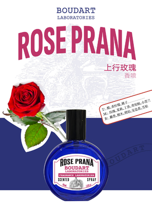 ROSE PRANA Kokulu Sprey Çubuklu Esanslı Yağ Vücut Sprey Vücut Sis OEM Toptan Satış Parfüm Kokulu Yağ Konsantre