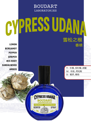 CYPRESS UDANA Çili Aşılı Yağıyla Kokulu Sprey Uluslararası Klein Blue Tasarım Tarzı