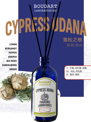 CYPRESS UDANA Reed Diffuser Wholesale OEM Parfüm ev dekorasyonu doğal cam şişe esanslı yağ aroması Rattan Stick
