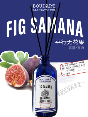 FIG SAMANA Reed Diffuser Aroma Rattan Stick'ler Şeftali Top Notları ile Şık Tasarım Tarzı