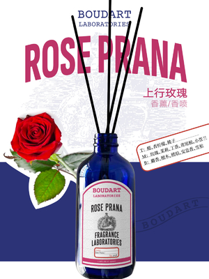ROSE PRANA Kayak Diffuser Aldehitler ve Freesia Doğal Cam Şişe için