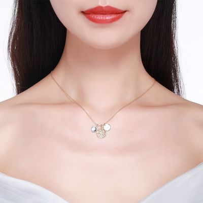 19in 25g Gümüş Takı Kolyeler