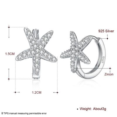 1x1cm 1.32g Gümüş Takı Küpeler 5A Denizyıldızı Kübik Zirkonya Küpe