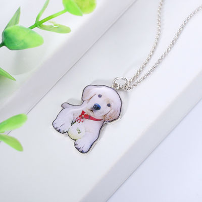 0.87in 2.2cm Özel Gümüş Kolyeler S925 Trendy Kişiselleştirilmiş Köpek Künyesi Kolye